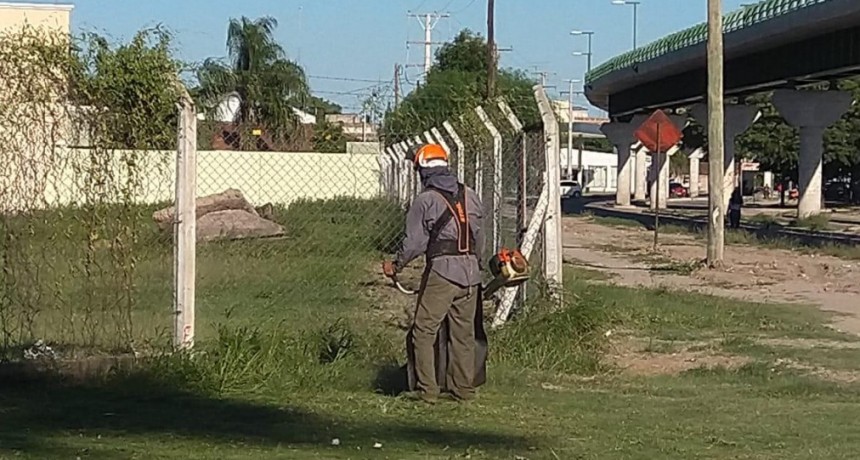 Servicios P&uacute;blicos realiza un operativo integral en el Club Sarmiento y alrededores