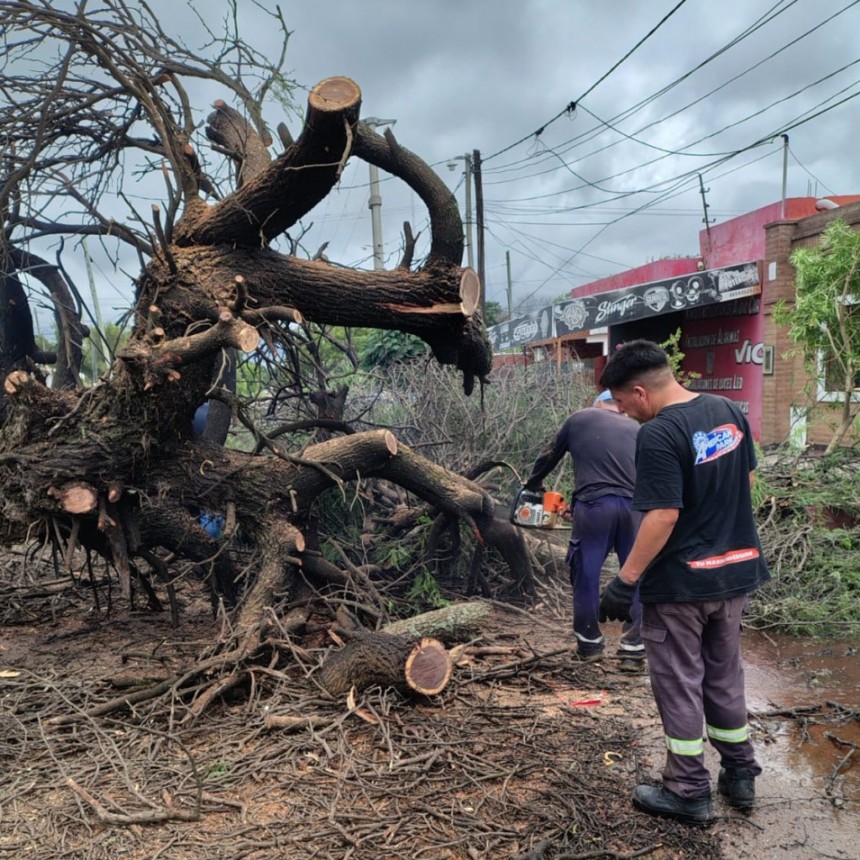 El Comit&eacute; de Emergencia Municipal refuerza sus tareas tras las intensas lluvias