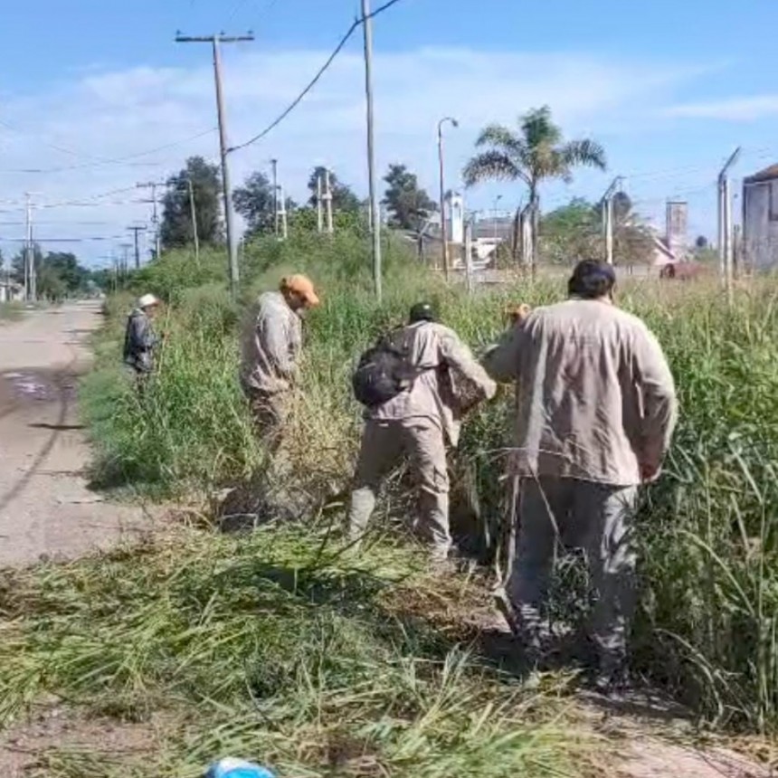  El Municipio refuerza tareas de desmalezamiento y mantenimiento de desag&uuml;es 
