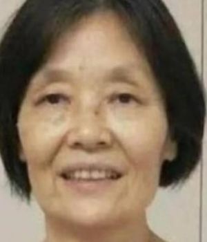 Vieron a la china desaparecida "angustiada" y "desorientada"