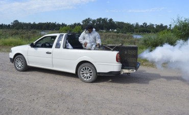 Brindan recomendaciones para controlar la proliferaci&oacute;n de mosquitos