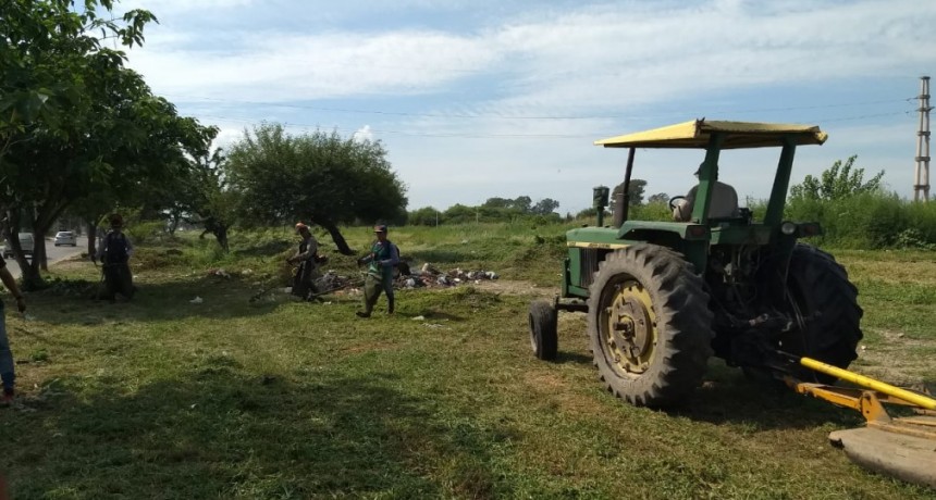 El municipio inici&oacute; un operativo de desmalezamiento a lo largo de avenida 25 de Mayo