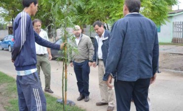 Comenzaron los trabajos para la campa&ntilde;a de arbolado urbano en la ciudad