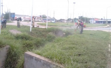 Refuerzan el desmalezamiento en el casco c&eacute;ntrico y accesos a la ciudad