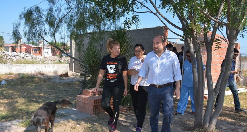 El intendente Mirolo destac&oacute; el trabajo del Centro Municipal de Sanidad Animal  