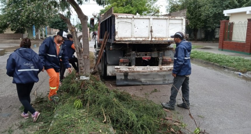 El intendente Nediani intensifica las tareas de fumigaci&oacute;n y desmalezado en diferentes barrios de la ciudad