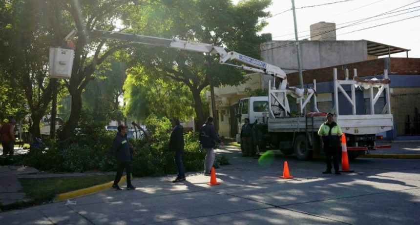 El municipio bande&ntilde;o avanza con trabajos de poda en diferentes sectores de la ciudad 