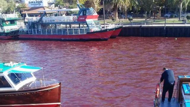 Alerta y misterio en Tigre: el r&iacute;o amaneci&oacute; te&ntilde;ido de rojo 