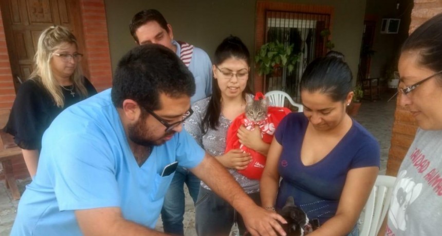 En apenas dos semanas la campa&ntilde;a municipal &ldquo;Atenci&oacute;n Veterinaria en tu Barrio&rdquo; alcanz&oacute; a m&aacute;s de 500 mascotas