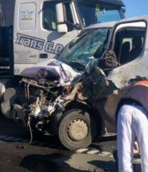 Caballo suelto en autopista provoc&oacute; tremendo choque en cadena