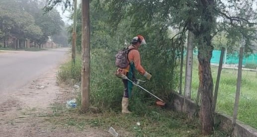 CONTIN&Uacute;AN LOS TRABAJOS DE DESMALEZAMIENTO EN LA BANDA