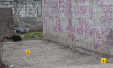 Mat&oacute; de un ladrillazo en la cabeza a su ex pareja delante de sus hijos