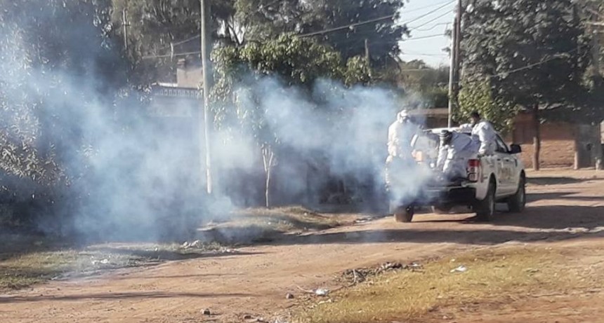Intensifican los trabajos de fumigaci&oacute;n y desmalezamiento para prevenir casos de dengue