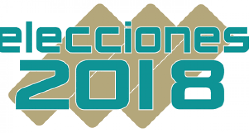 &iquest;D&oacute;nde voto?: Consult&aacute; aqu&iacute; el padr&oacute;n electoral