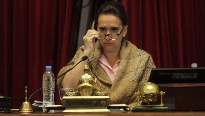 Michetti se cruz&oacute; con senadores de su propio bloque