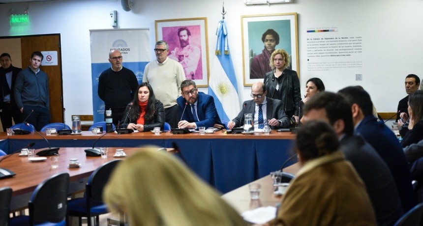 ASUNTOS CONSTITUCIONALES AVAL&Oacute; AUTORIZAR A LA JUEZA CAPUCHETTI A INVESTIGAR EL CELULAR DEL DIPUTADO MILMAN