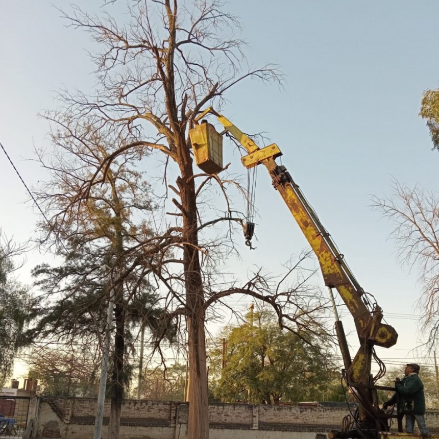 Parques y Paseos inici&oacute; la semana con trabajos de poda y desmalezamiento en La Banda 