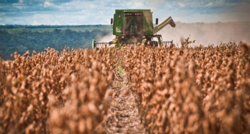 El Gobierno de Santiago del Estero exime del pago de Ingresos Brutos al sector agropecuario por seis meses