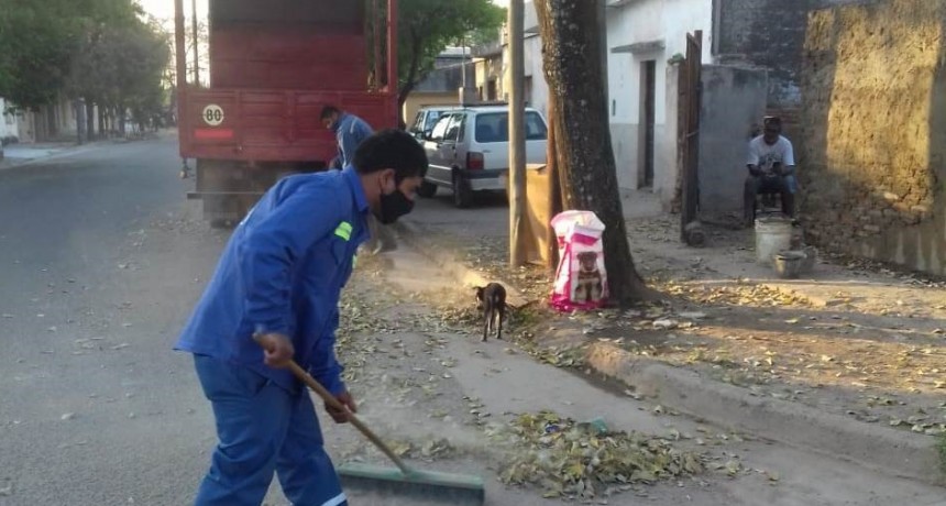  Servicios P&uacute;blicos refuerza las tareas de limpieza y erradicaci&oacute;n de basurales