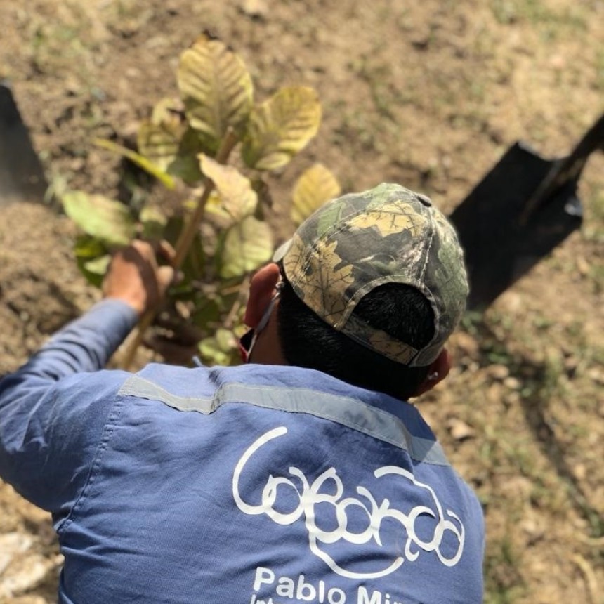  El Plan Municipal de Reforestaci&oacute;n lleg&oacute; al barrio San Fernando con nuevas especies para la plaza saludable