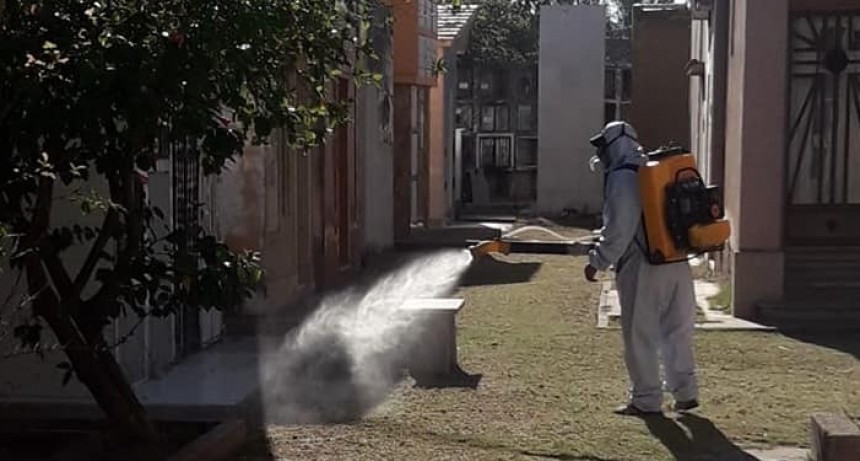 El municipio fumig&oacute; en el Cementerio de la Misericordia y sus alrededores