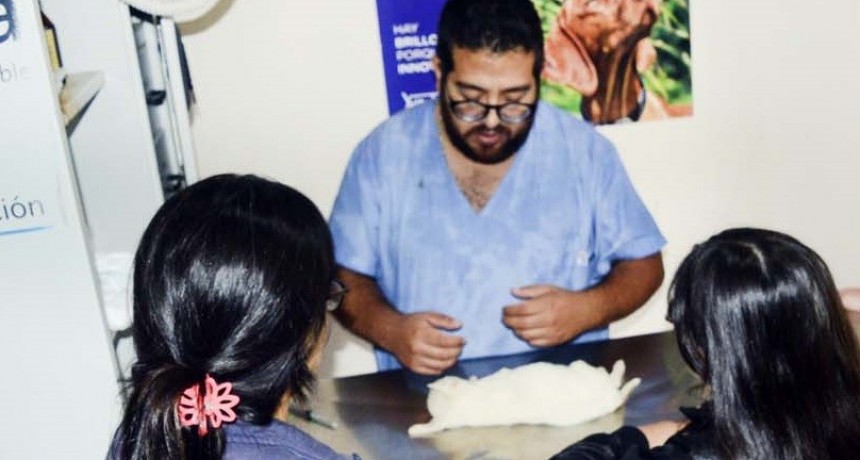  El Centro de Sanidad Animal lanza un alerta por la proliferaci&oacute;n de pulgas y garrapatas