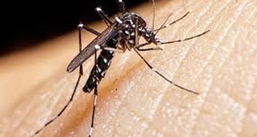 El Gobierno de la Provincia brinda recomendaciones para prevenir el dengue