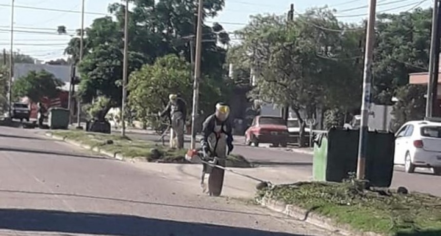 El municipio realiz&oacute; tareas de desmalezamiento en platabandas de la ciudad