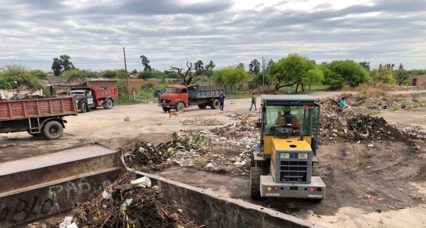 La Municipalidad ejecut&oacute; dos operativos de gran magnitud para erradicar focos infecciosos