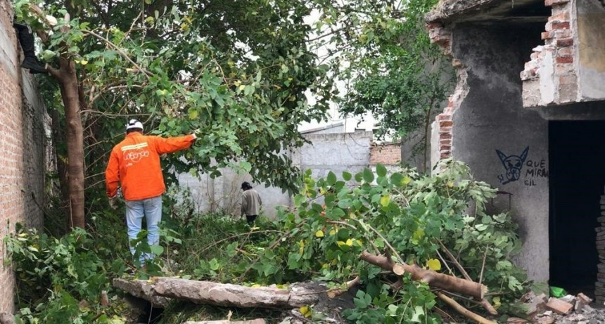  Retiran gran cantidad de basura de una propiedad c&eacute;ntrica y multan a los propietarios