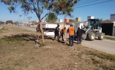Se realiz&oacute; un operativo integral en el sector este de la ciudad por la Campa&ntilde;a &ldquo;La Banda limpia, es m&aacute;s linda&rdquo;  